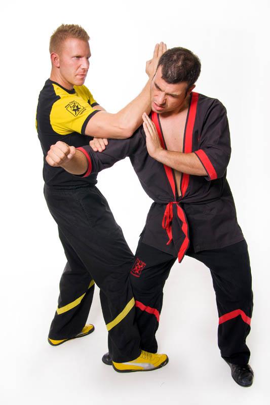 Wing-Tsjun-7 Wing-Tsjun-7