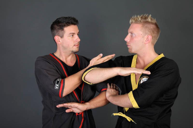 Wing-Tsjun-100 Wing-Tsjun-100