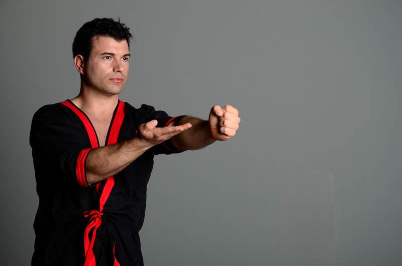 Wing-Tsjun-60 Wing-Tsjun-60