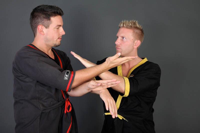 Wing-Tsjun-101 Wing-Tsjun-101